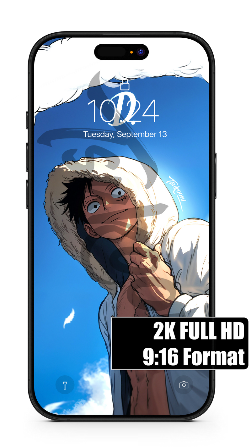WILL OF D. - One Piece