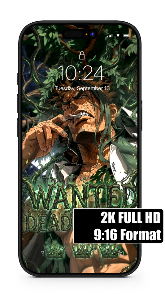 WANTED VOL.4 ฿ - Amaraki 'Ryokugyû' | One Piece