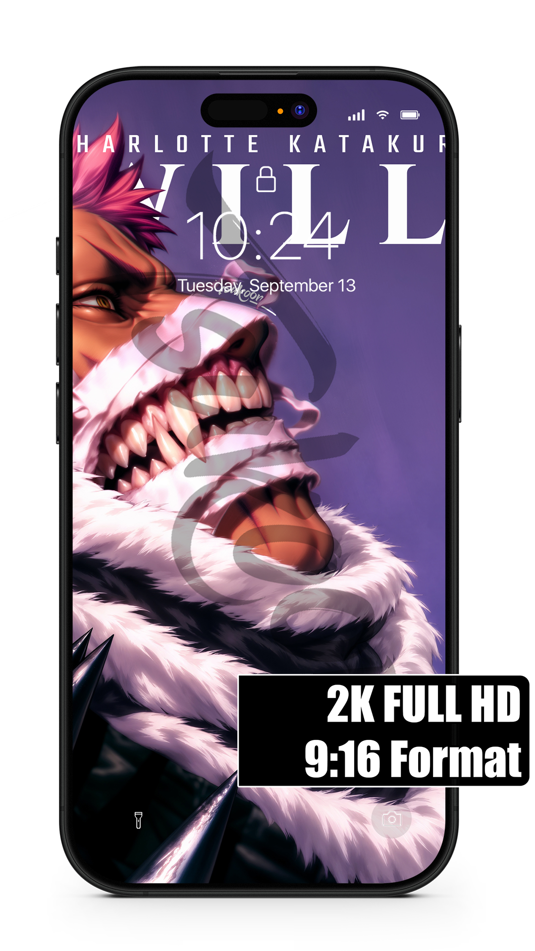 BUNDLE - WILL FOES — One Piece — Pack