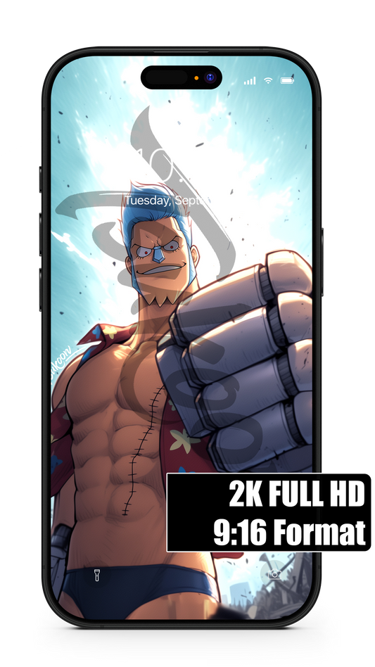 NEXT DESTINATION - Franky | One Piece