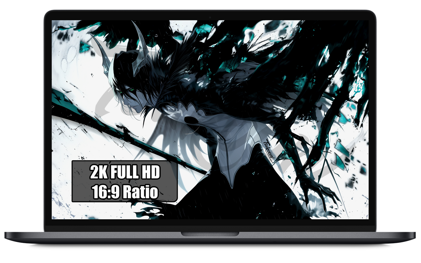 BUNDLE — DIRECTOR'S CUT - BLEACH VOL.1 - HOLLOW — Pack