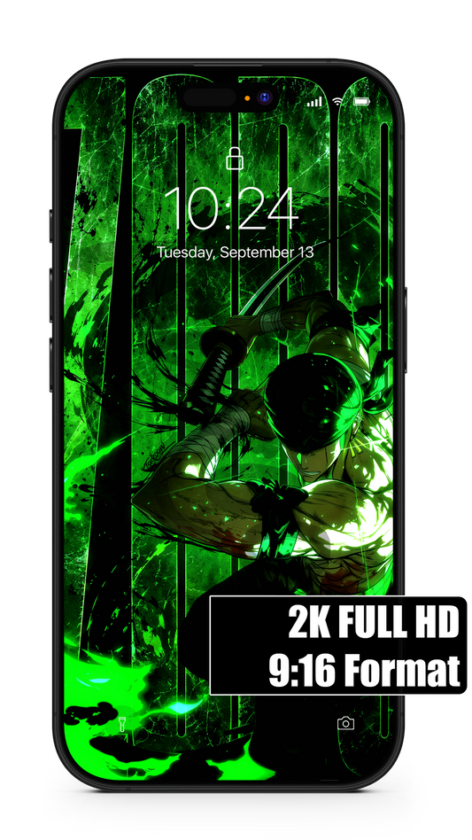 COLOR OF POWER II - Zoro | One Piece